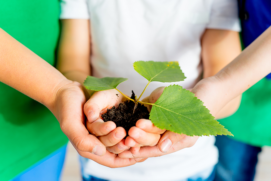 Family Earth Day Celebration