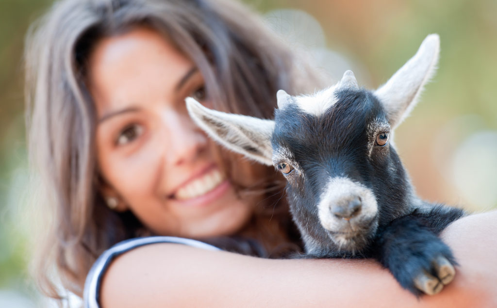 Goat Yoga with YoGoat LA