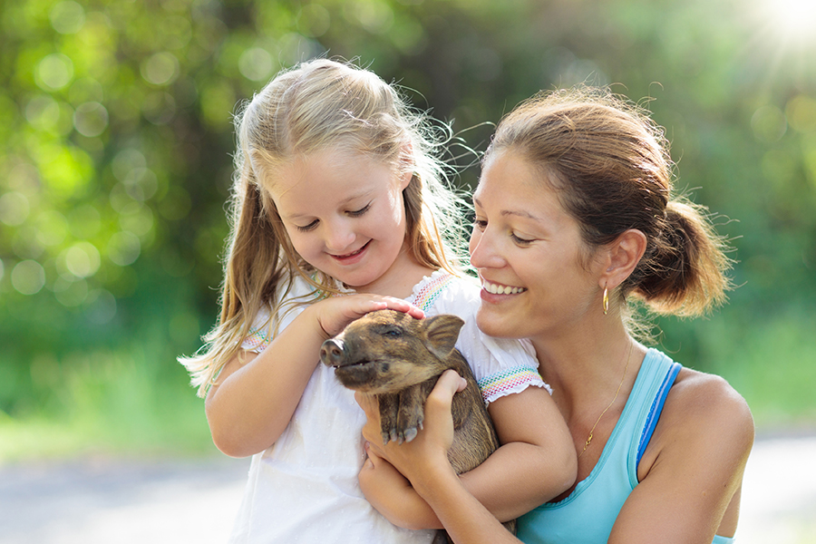 Petting Zoo & Donations with Caruso Cares