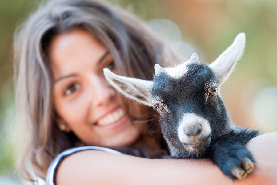 The Lakes at Thousand Oaks Goat Yoga with YoGoat LA