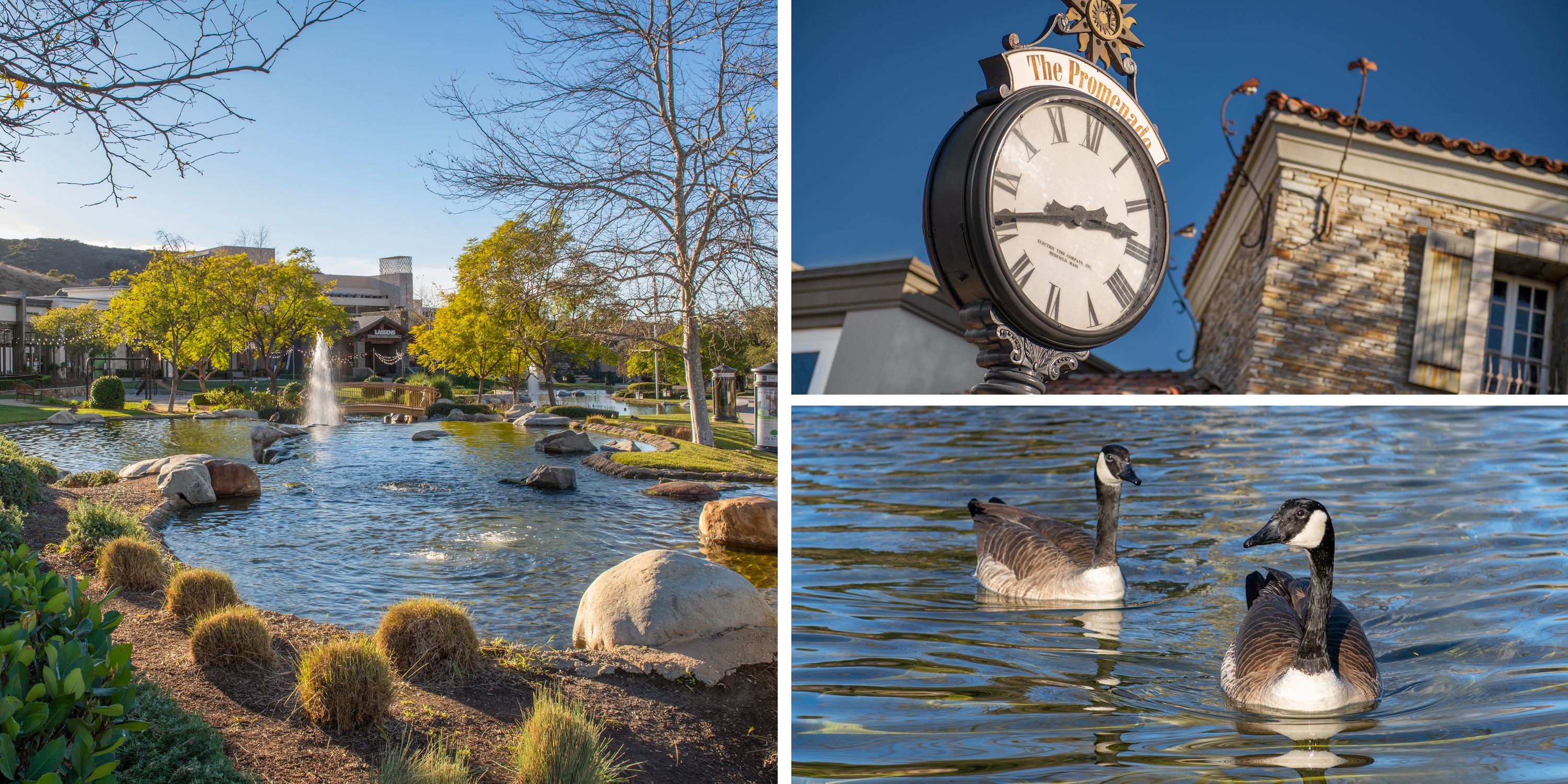 RESIDENCES AT THE LAKES AT THOUSAND OAKS