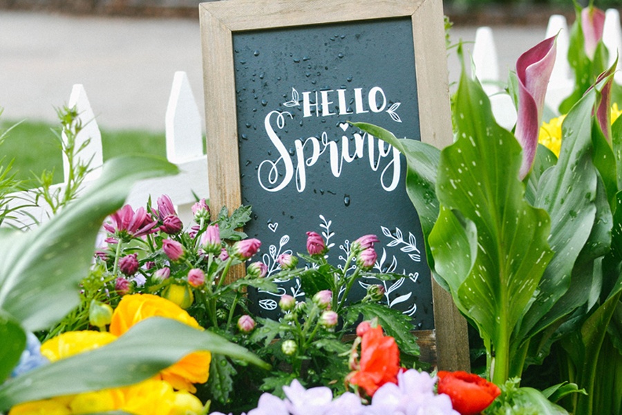 What To Do, See & Eat This Spring