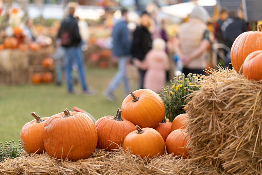Fall Festival